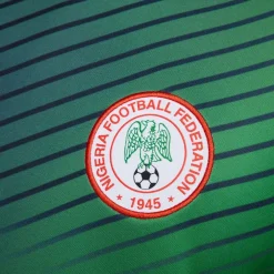 Nike Nigeria Academy Pro Home Pre Match 2024 Shirt Adults in Grey