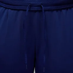 Nike Psg Strike Pant in Blue