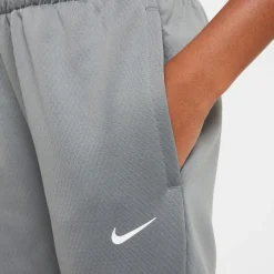 Nike Therma Fleece Winterized Athletic Pants in Grey