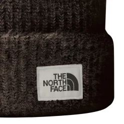 North Face Salty Bae Beanie in Brown
