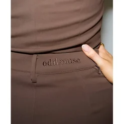 Odd Muse Maxi Skirt in Brown