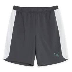 Puma Mens Finesse Performance Training Shorts in Grey