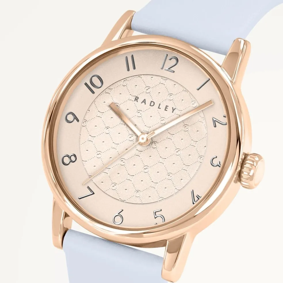 Radley 35mm Ltr Str in Blue