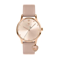 Radley Rgp Case Stp in Brown