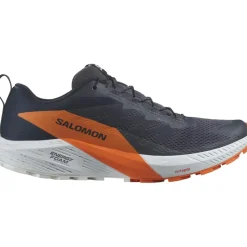 Salomon Mens Sense Ride 5 Goretex Trail Running Shoes in Blue