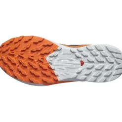 Salomon Mens Sense Ride 5 Goretex Trail Running Shoes in Blue