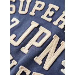 Superdry Hooded Relaxed Fit Sweatshirt in Blue