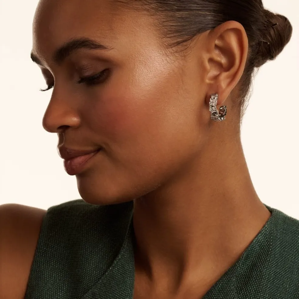 Ted Baker Clarnc Earngs in Silver