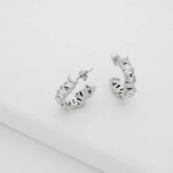 Ted Baker Clarnc Earngs in Silver