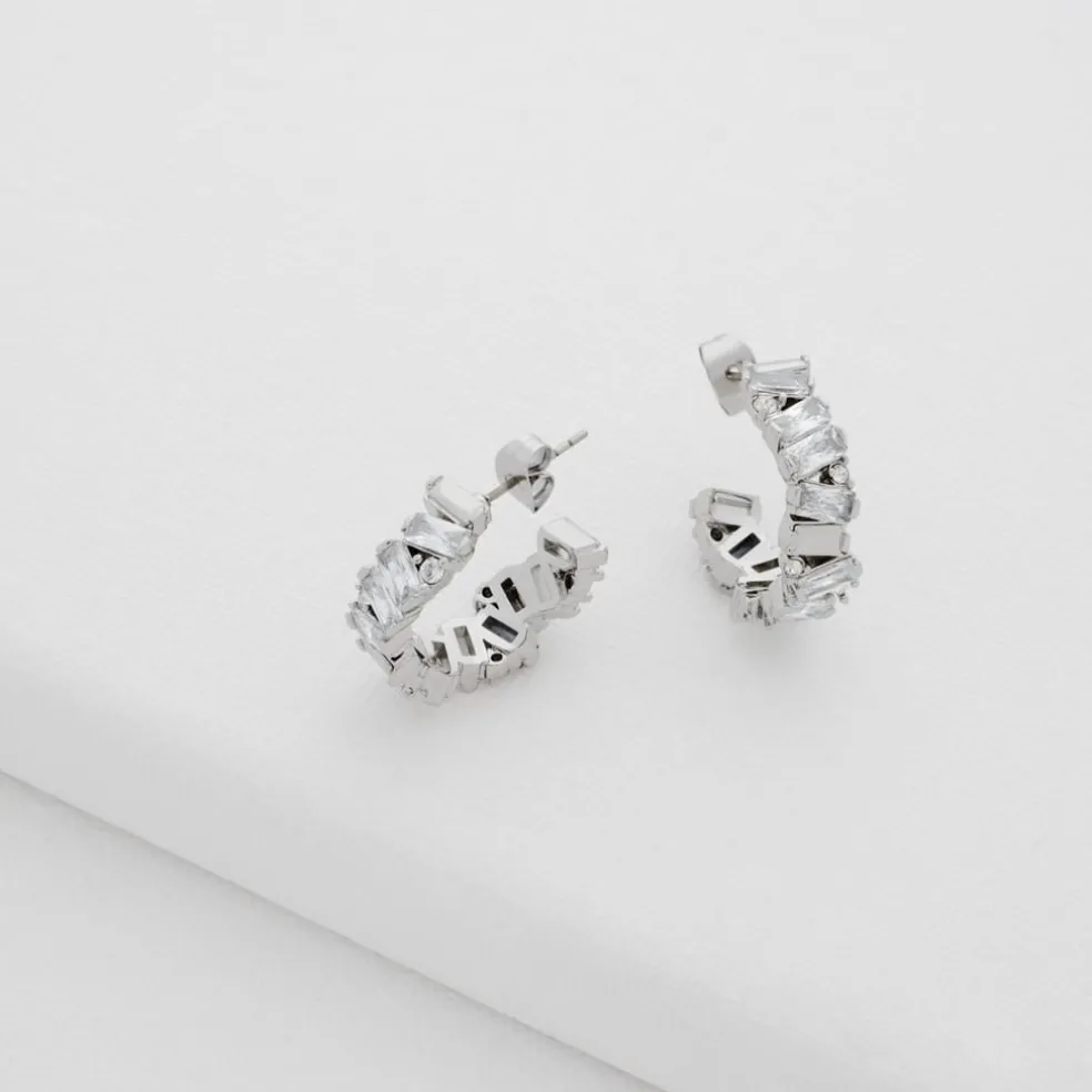 Ted Baker Clarnc Earngs in Silver