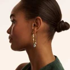 Ted Baker Pemia Earrings in Multi