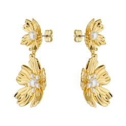 Ted Baker Petar Earrings in Gold