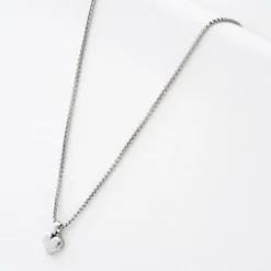 Ted Baker Sarroha Necklc in Silver