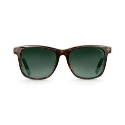 Thomas Sabo Marlon Square Cross Havana Sunglasses in Brown