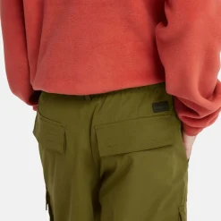 Timberland Durable Water Repellent Cargo Shorts in olive