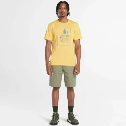 Timberland Topsfield Twill Chino Shorts in Green