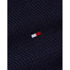 Tommy Hilfiger Cotton C Neck in Blue
