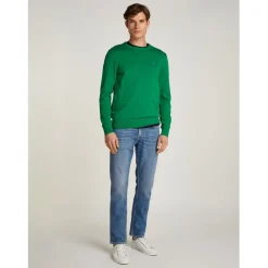 Tommy Hilfiger Denton Five Pocket Regular Jeans in Blue