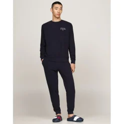 Tommy Hilfiger Flag Sliders in Blue