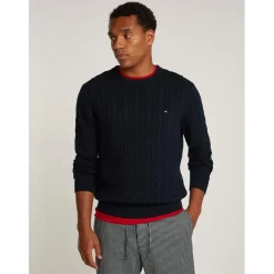 Tommy Hilfiger Hilfiger Classic Cotton Cable Crew Neck in Blue