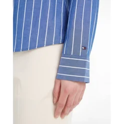 Tommy Hilfiger Regular FiT-Shirt in Blue