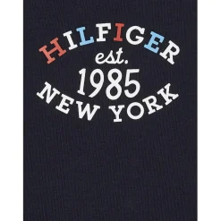 Tommy Hilfiger Tracksuit Set Infants in Blue