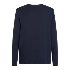 Tommy Jeans Sweater in Blue