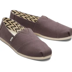 Toms Canvasas Shoes in Grey