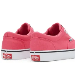 Vans Womens Canvasas Low Trainers in Pink