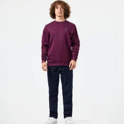 Weekend Offender Vega Crewneck Sweatshirt in Berry